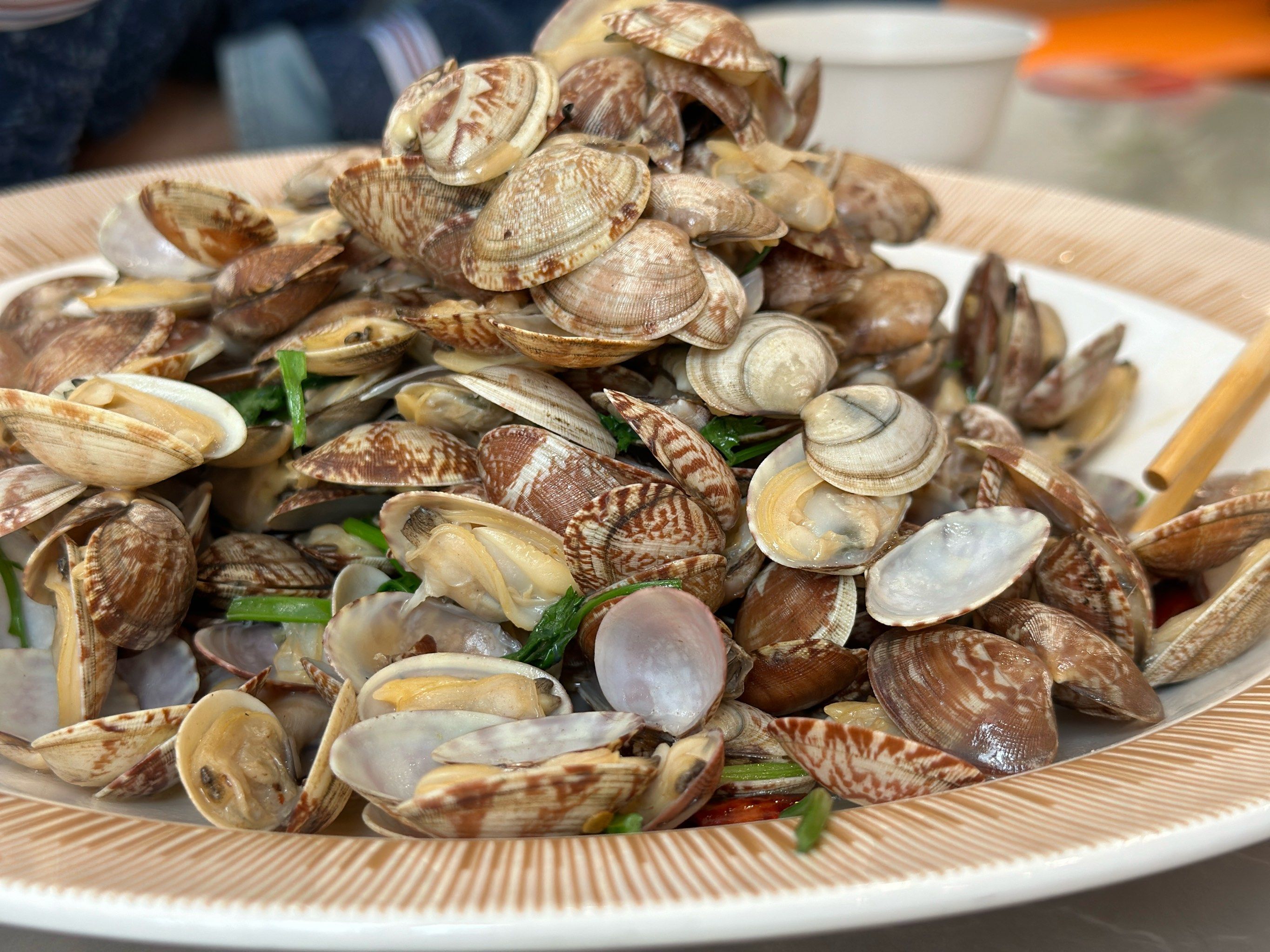 黄岛小蛤蜊开吃啦