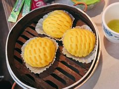 -寨子里的·钵钵菜·湘西山里菜(魅力湘西店)