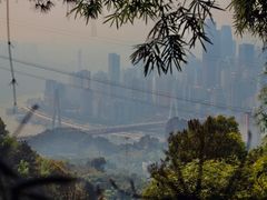 -南山植物园