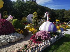 -上海共青森林公园