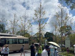 -刘伯温故里景区百丈漈