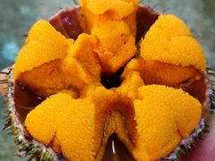 旅顺口黄金海胆-丁字口海鲜热炒·烧烤大排档