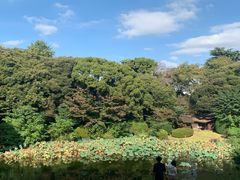 -东京国立博物馆