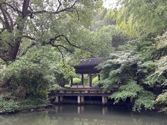 -杭州植物园