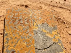-房山世界地质公园博物馆