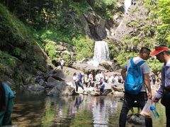 -石台牯牛降景区