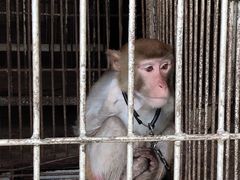 -田园寨农园观光园