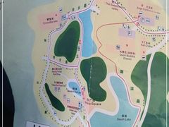 -三水森林公园