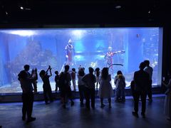 -顺德南宏海立方海洋公园
