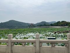 -顺峰山公园