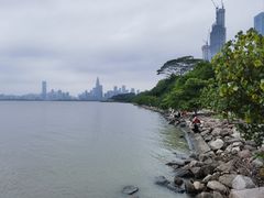 -深圳湾公园(南山区)