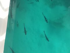 -蓝湾海滩