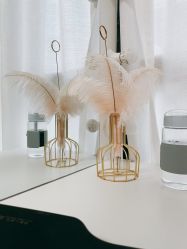 -演员的秘密·皮肤管理