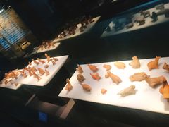 -荆州博物馆