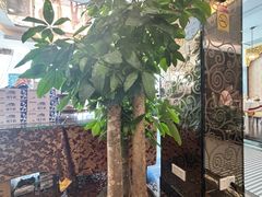 -新粤新疆菜清真餐厅(拱北店)