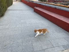 -潭柘寺景区