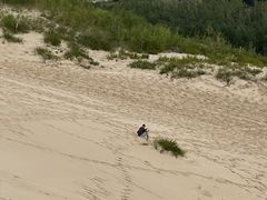 -库伦旗银沙湾旅游景区