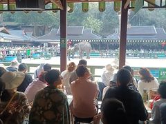 -野象谷景区