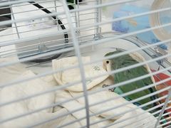 -博特宠物医院24h犬猫全科.骨科·异宠