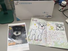 -伟伟宠物医院·CT影像中心·瑞派犬猫综合性门诊(汉口总院)