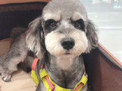 -FAELING PETS美天灵宠物(合生汇店)