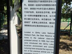 -溱湖国家湿地公园