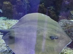 -顺德南宏海立方海洋公园