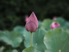 -朝阳公园