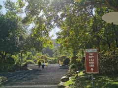 -火炉山森林公园