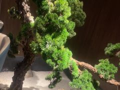 -喜湘宴·精致湖南菜(和平西桥店)