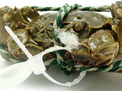 -喜洋洋蟹庄(阳澄湖店)