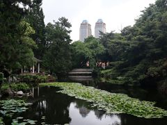 -叶家花园