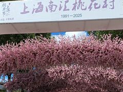 -南汇桃花村