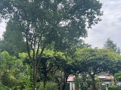 -广州神农草堂中医药博物馆