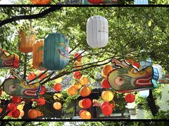 -西溪国家湿地公园