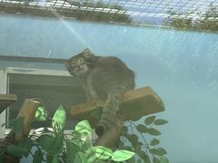 -青藏高原野生动物园