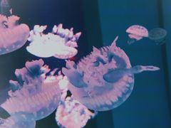 -石林冰雪海洋世界