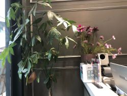 店内环境-蜜丝卡伦美甲美睫连锁