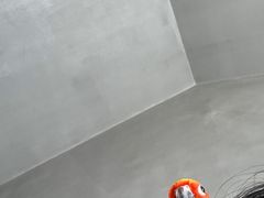 -吉丁鸟咖·异宠·寄养