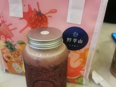 -野萃山·潮汕厚果汁(十亩地店)