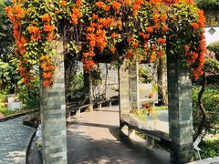 -广州神农草堂中医药博物馆