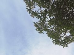 -思念果岭悦温泉