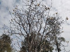 -中国移动南方基地