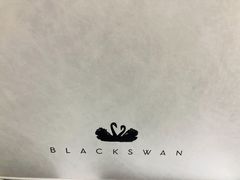 -BLACKSWAN黑天鹅(环球店)