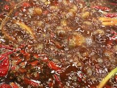 -黄潇洒老火锅(九眼桥宏济巷店)