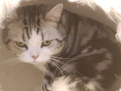 -小时光咖啡馆(开森度假森林店)