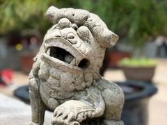 -普陀山风景名胜区-法雨禅寺