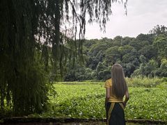 -南宁良凤江国家森林公园