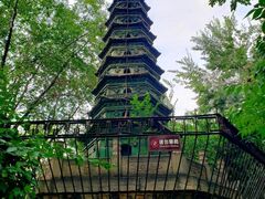-迎泽公园