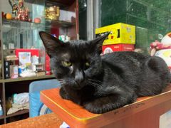 -鸿渡渔庄·特色鸭咀鱼